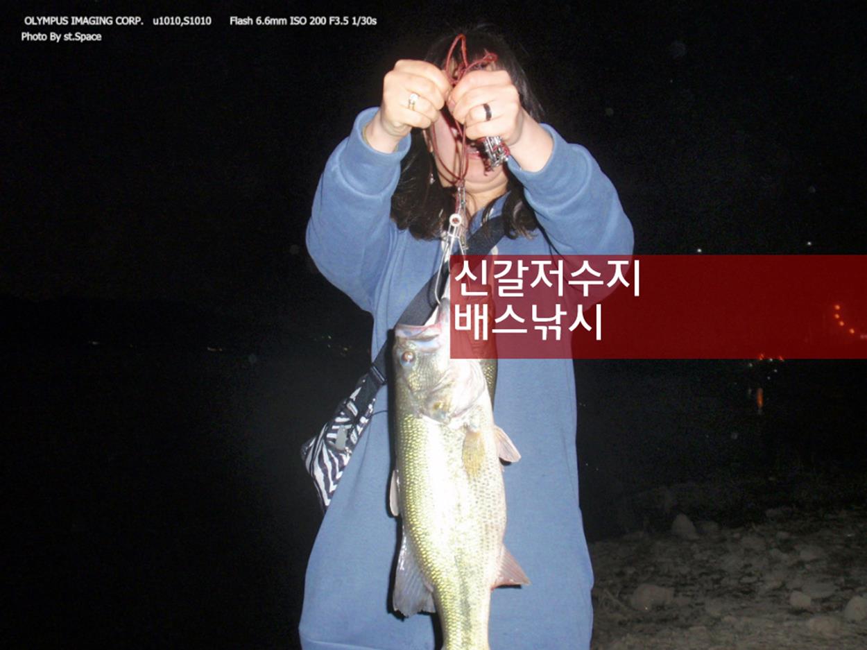 기흥 신갈저수지 배스낚시 – 골프장 포인트