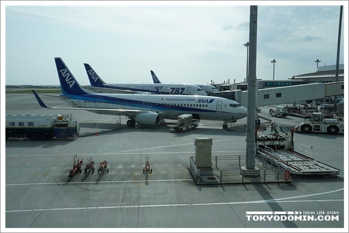 오키나와(나하공항) → 미야코지마(미야코섬) ANA1729편 B737-800기종의 이코노미 이용기